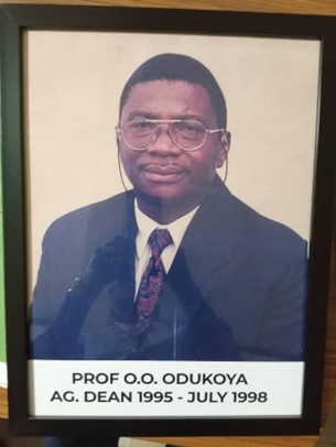 Prof. O. Ibidapo-Obe